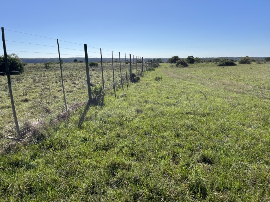 Commercial Property for Sale in Bathurst Rural Eastern Cape